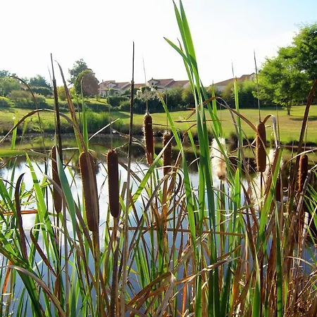 펜션 In France With Covered Terrace Roussines