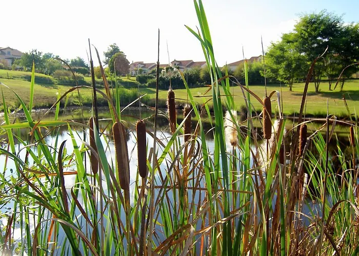 Сasa de vacaciones In France With Covered Terrace Roussines